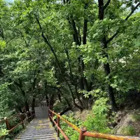 一個簡單的幸福秘訣：那就是盡可能地保持低調，收斂鋒芒。做一個小透明沒什么不好，對于渴望簡單、舒適和快樂生活的人來說，簡化人際關系是關鍵。 ???配圖