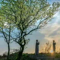 起心動念皆是因，當下所受皆是果。
播下善良的種子，綻放人性的光芒。 ???配圖