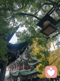 被别人讨厌不是你的弱点，



希望被别人喜欢才是你的弱点。配图