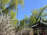 你不是被困住，只是在孵化
**成长型思维**研究发现：将我做不到改为我暂时还没掌握，大脑的神经元连接会加速重组。蝴蝶破茧前的挣扎，正是翅膀获得力量的必经之路。

**语言重塑**：当遇到挫折时，试着说：这个挑战能教会我什么？配图