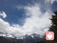 弗洛伊德：没有所谓玩笑，所有的玩笑都有认真的成分。配图