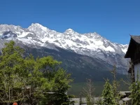 在這個充滿希望與重生的十蛇年新春之際，愿我的寄語，如同溫暖的陽光穿透冬日的寒意，照進你的心房，帶給你深深的療愈與力量配圖