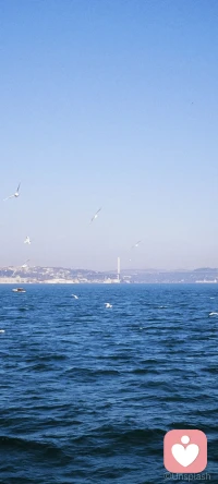 人生本就是乘风破浪
人生就像一次远航，我们都是红尘大海中的一艘小船。家是我们永恒的港湾，而我们努力地向远方前行。航程中不断充实自己，为了可以达到更远更好的地方。