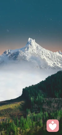 失去的不一定是最好的，是你把它想成了最美的图画。前面的路上还有许多风景，不要耽搁快迈出生活的步伐。