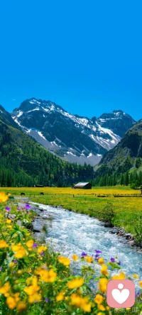 不要总在过去的回忆里缠绵，不要总是想让昨天的阴雨淋湿今天的行装。昨天的太阳，晒不干今天的衣裳。配图