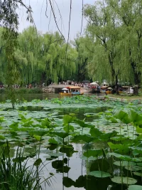 人生最頂級的心態(tài)就是“允許一切發(fā)生”。①命運會讓你經(jīng)歷相同的事情，你越逃避什么，就會一直遇到什么。當我們選擇不再繞路，不再期冀別人來救自己，而是給出新的回應，我們才能跳出命運的輪回。②擁有被討厭的勇氣，只要我不想被影響，那么我就可以不被影響，這就是強者心態(tài)。你要學會將自己的感受和別人的感受區(qū)分開來，不在意別人的評價，不追求他人的認可，你才會獲得真正的自由。③人生是一場體驗，充滿智慧的人，是為了體驗生命。盡情的體驗生活吧，我們唯一要做的就是完全的允許，徹底的體驗，盡情的享受，靜靜地看著，只是看著，允許一切發(fā)生！----夏至配圖