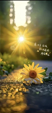 好的親密關(guān)系不是兩個完美的人在一起，
而是兩個都有缺點的人會用包容的眼光欣賞并不完美的彼此。配圖