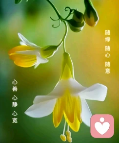 文哥聆听