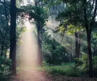 你成為什么，你就會吸引什么，你吸引什么，你就會成為什么。當你活在風盛里的時候，世界就會為你匹配豐盛的機遇。配圖