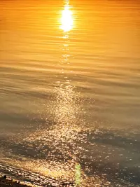 匮乏的人给出的爱是讨好
丰盛的人给出的爱是滋养
虚弱的人给出的爱是控制
强大的人给出的爱是允许
恐惧的人给出的爱是担忧
勇敢的人给出的爱是放手
自卑的人给出的爱是不信任