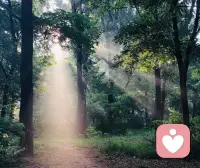 做好自己，就是最美的风景