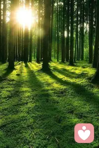 心若向阳，无畏悲伤。用积极的心态面对生活，你会发现美好无处不在