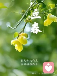 生活中最高的境界，珍惜自己的过去，满意自己的现在，乐观自己的未来😁