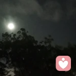 .的頭像