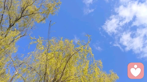 停止自我攻击,做自己最坚实的盟友