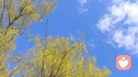 停止自我攻击，做自己最坚实的盟友