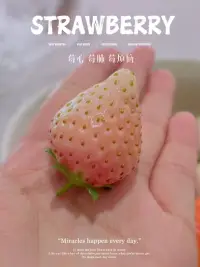 立即行動 是緩解焦慮的良藥配圖