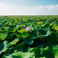 我們的時間花在哪里，我們的事業和機會就在哪里。配圖