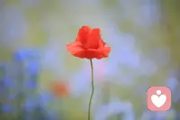 人生的目的就是成為更好的自己。配圖