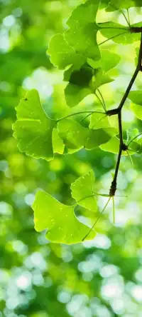 弗洛伊德經典名言
1.沒有所謂玩笑，所有的玩笑都有認真的成分。

2.精神健康的人，總是努力地工作及愛人，只要能做到這兩件事，其它的事就沒有什么困難。

3.人生有兩大悲劇：一個是沒有得到你心愛的東西，另一個是得到了你心愛的東西。人生有兩大快樂：一個是沒有得到你心愛的東西，于是可以尋求和創造；另一個是得到了你心愛的東西，于是可以去品味和體驗。

4.沒有口誤這回事，所有的口誤都是潛意識的真識的流露。當你瞧不起一個人的時候，這種輕視一定能夠感覺得到，那他她就會做出某些事情來自衛。

5.人生就像弈棋， 一步失誤， 全盤皆輸，這是令人悲哀之事；而且人生還不如弈棋，不可能再來一局，也不能悔棋。配圖