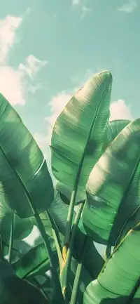 氣時(shí)不言，不假思索的話，最能傷人，怒時(shí)不語(yǔ)，脫口而出的話，最能寒心。惹你生氣的，大多是外人，讓你撒氣的，往往是家人。
     家人，是你的依靠，而不是你的出氣筒，家人，是你的寄托，而不是你的滅火器。包容，不是撒氣的借口，遷就，不是任性的理由。所以，請(qǐng)別把壞情緒帶回家！和風(fēng)細(xì)雨，家才會(huì)幸福，和藹可親，家才能溫馨！[太陽(yáng)][太陽(yáng)][太陽(yáng)]配圖