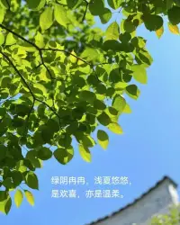 你要強大，而不是強勢；你要平靜地表達憤怒，而不是憤怒地表達。
憤怒是上天賜予我們的刀，可惜很多人都拿來自刎了。比起在氣勢上占據上風，更有價值的是守住教養；比起在音量上壓倒對方，更有意義的是解決問題。請記住：沒有憤怒的人，他的自尊不值錢；太多憤怒的人，他的憤怒也不值錢。配圖