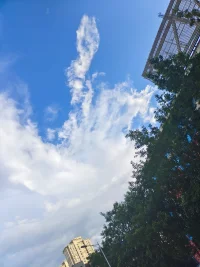 幸福，就藏在我們日常的生活里。記錄讓你開心的美好瞬間、學習一門新的技能、幫助他人，每個小小的改變都能帶來幸福感。你不斷尋找和創造幸福的過程，正是生活最好的狀態。新的一天，早安！配圖