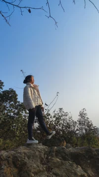 自由，反過來理解就是：由自。配圖