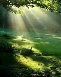 在心靈的迷宮，我愿是你那盞溫柔的燈，照亮前行的路。