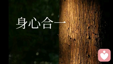 别让头脑绑架生活，回到身心合一
