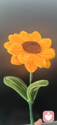 【心身合一的健康观】
★生理维度：规律作息，饮食均衡，运动适当，近大自然，多日光浴。
★心理维度：理性平和，达观宽容，幽默好奇。
★社会维度：有真诚的人际交流，互相提供情绪价值。配图