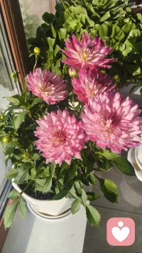 人比人气死人，攀比是世界上最无意义的事。
每个人都有自己的生活，家家有本难念的经，
谁家的锅底都有灰，你看到的别人的辉煌，
背后都是你看不到的辛酸。
与其攀比他人，不如过好自己的当下。配图