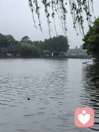 亲爱的朋友们，好多人在婚姻中总是看对方哪里做的不好，现在我们思考一下，你希望从对方那里获得情绪价值，你能给对方提供一些什么？婚姻中需要提升智慧。配图
