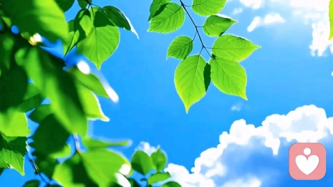 柳叶刀--重性抑郁障碍的正念认知疗法