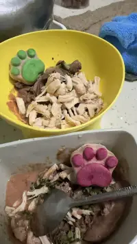 被小貓治愈了一下??配圖