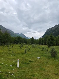 心理技术使用太多，会让敏感的倾诉者加强防御。干预太多会增加说教成分并把自己的东西投射给倾诉者，力图把倾诉者变成自己想要的样子。静心听，鼓励倾诉者说下去，本来就是看见倾诉者一切，不做评价的看见就是一种默默地认同，倾诉者自己会成长，顿悟。配图