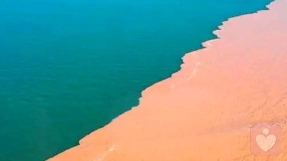金沙河