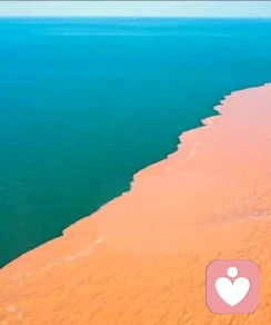 金沙河