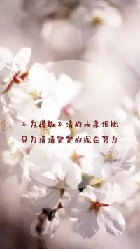 真正的爱是灵魂的契合，美好的被爱是心灵的慰藉。