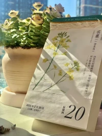 孩子要先感受到六個“被”
才會有六個“感”
父母希望孩子的“好”
都在孩子的六感里配圖