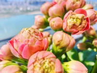 每日一說：房間有多亂，家里就有多窮，財(cái)神不進(jìn)臟亂家，尤其是有孩子的家庭，孩子不做家務(wù)，以后就是廢物。配圖