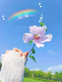 這短短的一生，

我們最終都會失去，

你不妨大膽一些，

愛一個人，

攀一座山，

追一個夢。配圖