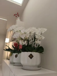 最好不相見(jiàn)，如此便可不相戀。
最好不相知，如此便可不相思。
最好不相伴，如此便可不相欠。
最好不相惜，如此便可不相憶。
最好不相愛(ài)，如此便可不相棄。
最好不相對(duì)，如此便可不相會(huì)。
最好不相誤，如此便可不相負(fù)。
最好不相許，如此便可不相續(xù)。
最好不相依，如此便可不相偎。
最好不相遇，如此便可不相聚。
但曾相見(jiàn)便相知，相見(jiàn)何如不見(jiàn)時(shí)。
安得與君相訣絕，免教生死作相思。配圖