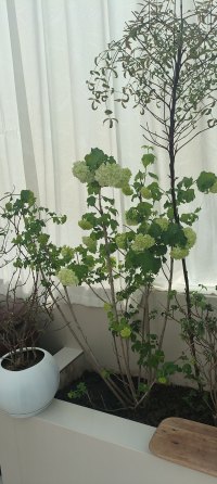 山高水长，怕什么来不及，慌什么到不了，天顺其然，地顺其性，人顺其变，一切都是刚刚好。配图