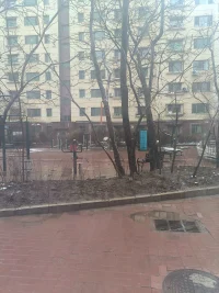 他朝若是同淋雪，此生也算共白頭。配圖