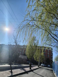 人间4月，春色满园关不住，暖风熏得游人醉配图