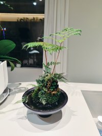我们在冬天里低沉，期盼春天，春天来了，你的心是否也如天气一般渐渐温暖，渐渐安宁，出去走走，享受这最美人间四月天，如此才能不负光阴不负卿配图