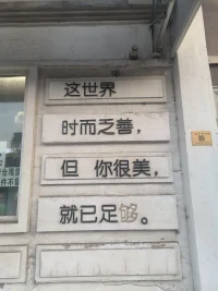 这世界
时而乏善
但，
你很美，
这已足够