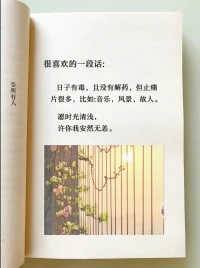 日子有毒，且没有解药，但止痛
片很多，比如：音乐，风景，故人。