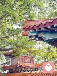 很多時(shí)候人并沒(méi)有什么選擇，更重要的是面對(duì)一切生發(fā)和熄滅的心態(tài)。配圖